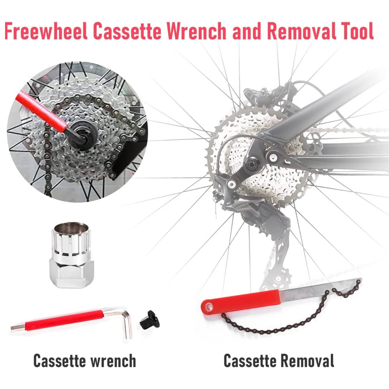 Cassette tool and chain holding tool used to take a cassette off a rear wheel